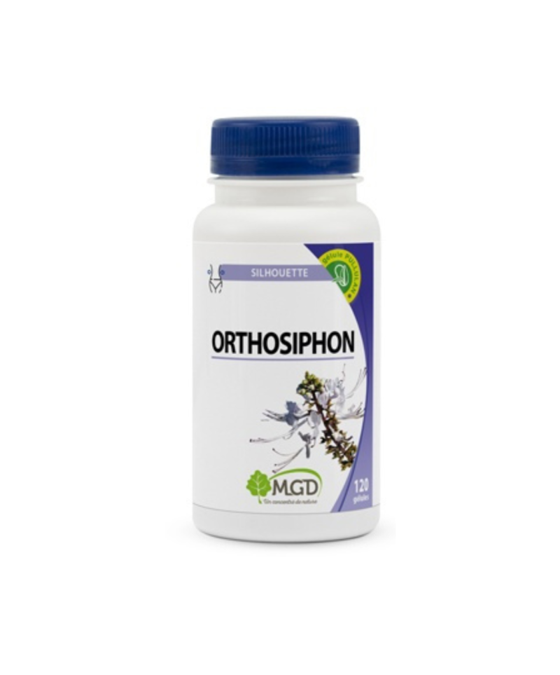 MGD Orthosiphon 120 Gélules